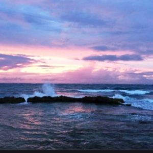 Meet your Posher, Lola